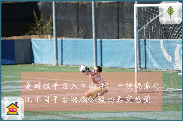 爱游戏平台入口测评：一线玩家对比不同平台游戏体验的真实感受
