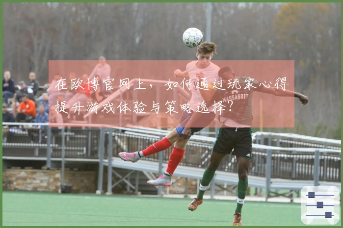 在欧博官网上，如何通过玩家心得提升游戏体验与策略选择？